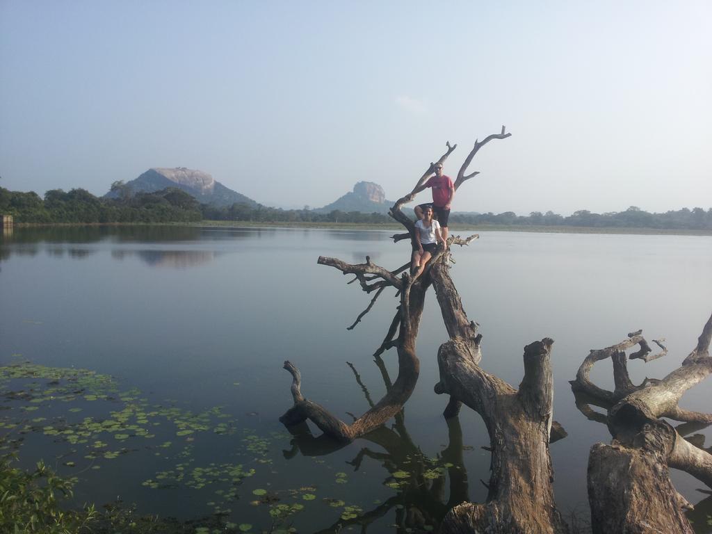 Sigiriya Lahiru Homestay 外观 照片