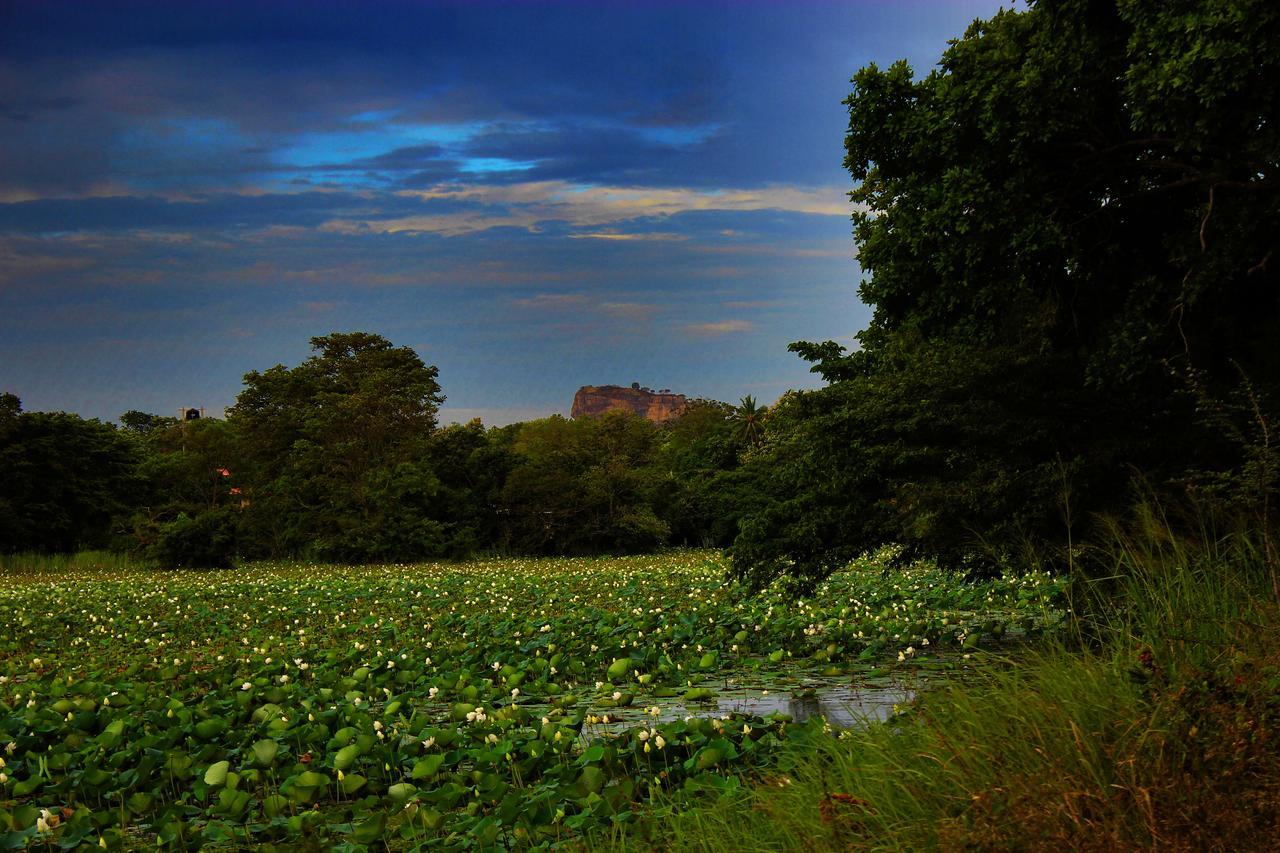 Sigiriya Lahiru Homestay 外观 照片