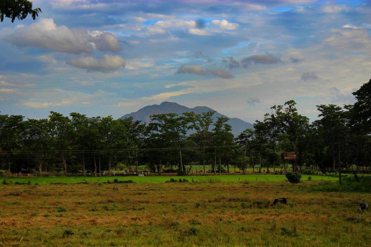 Sigiriya Lahiru Homestay 外观 照片